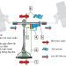 Tìm hiểu Hệ Thống Lái Trợ Lực Điện (EPS)