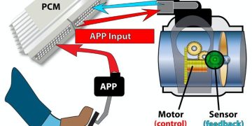 Đèn cảnh báo điều khiển bướm ga – Ý nghĩa và cách xử lý